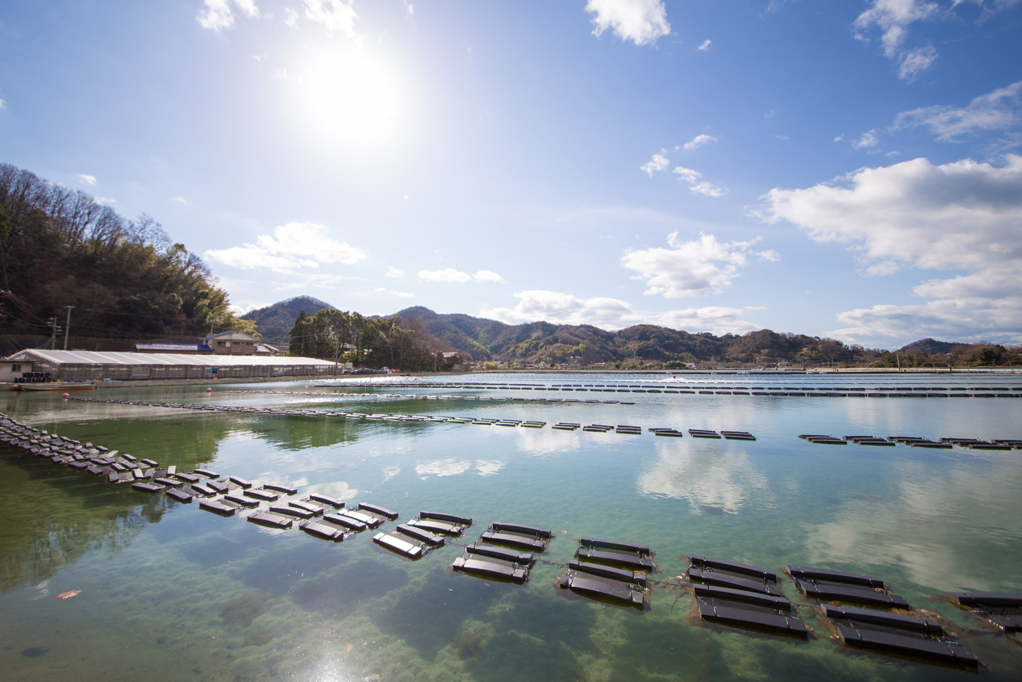 ファームスズキ広島県大崎上島