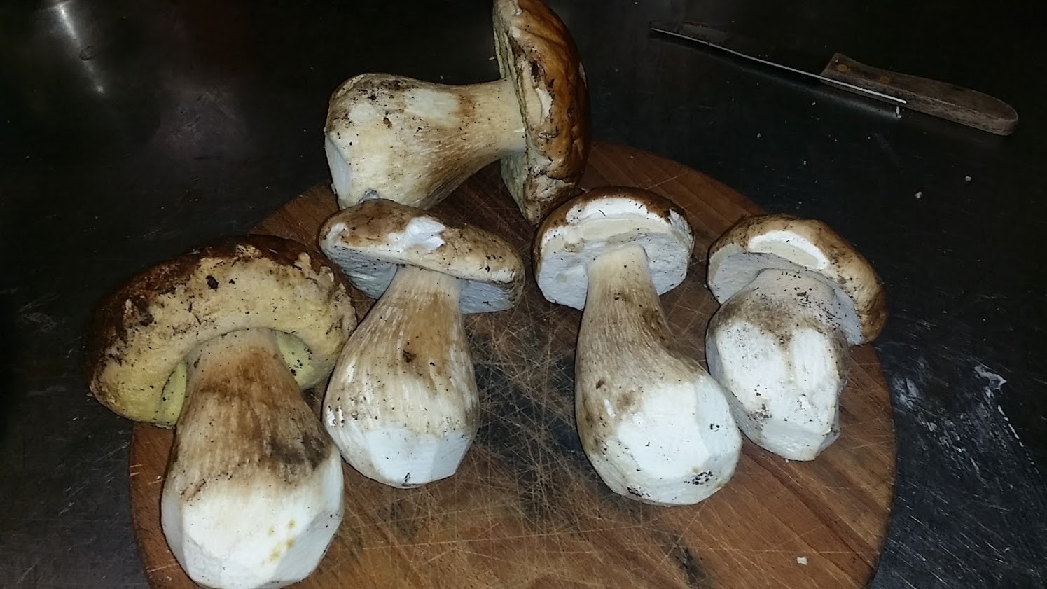 Funghi