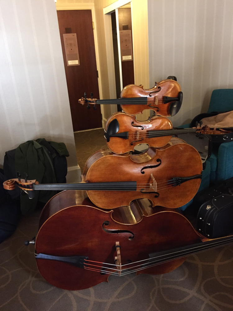 Trevor Davis Fine Stringed Instrument Luthier Trevor Davis, Fine