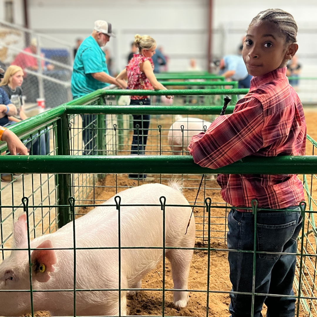 Generosity in Motion at the Fair