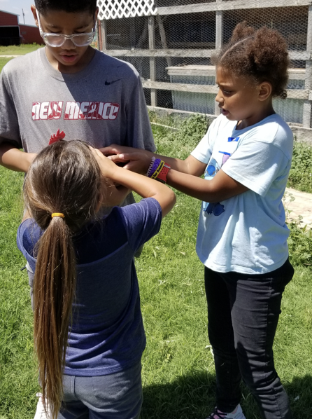 Jordan and his sisters bonding over chickens