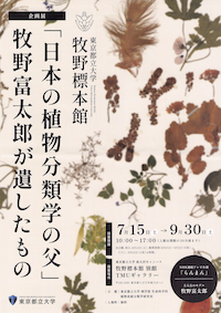 「日本の植物分類学の父」牧野富太郎が遺したもの