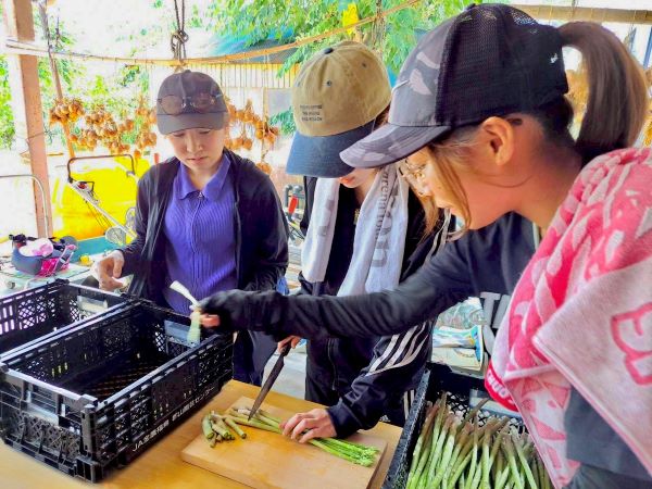 まちと自然に学んだ3日間 ―フィールドスタディ体験レポート②