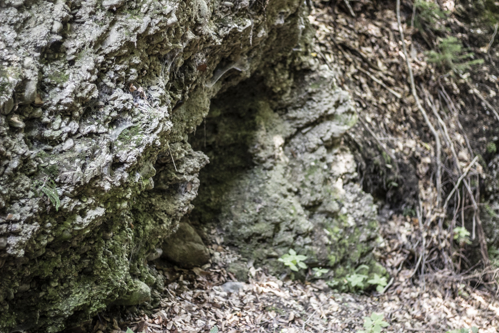 felsiges gestein im hohlweg – im frühglazial war das tal 15-18m unter wasser – stausee