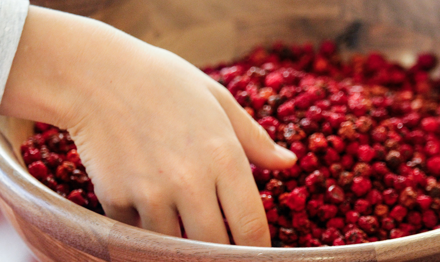 es ist ein schönes gefühl in die ebereschenbeeren hineinzufahren