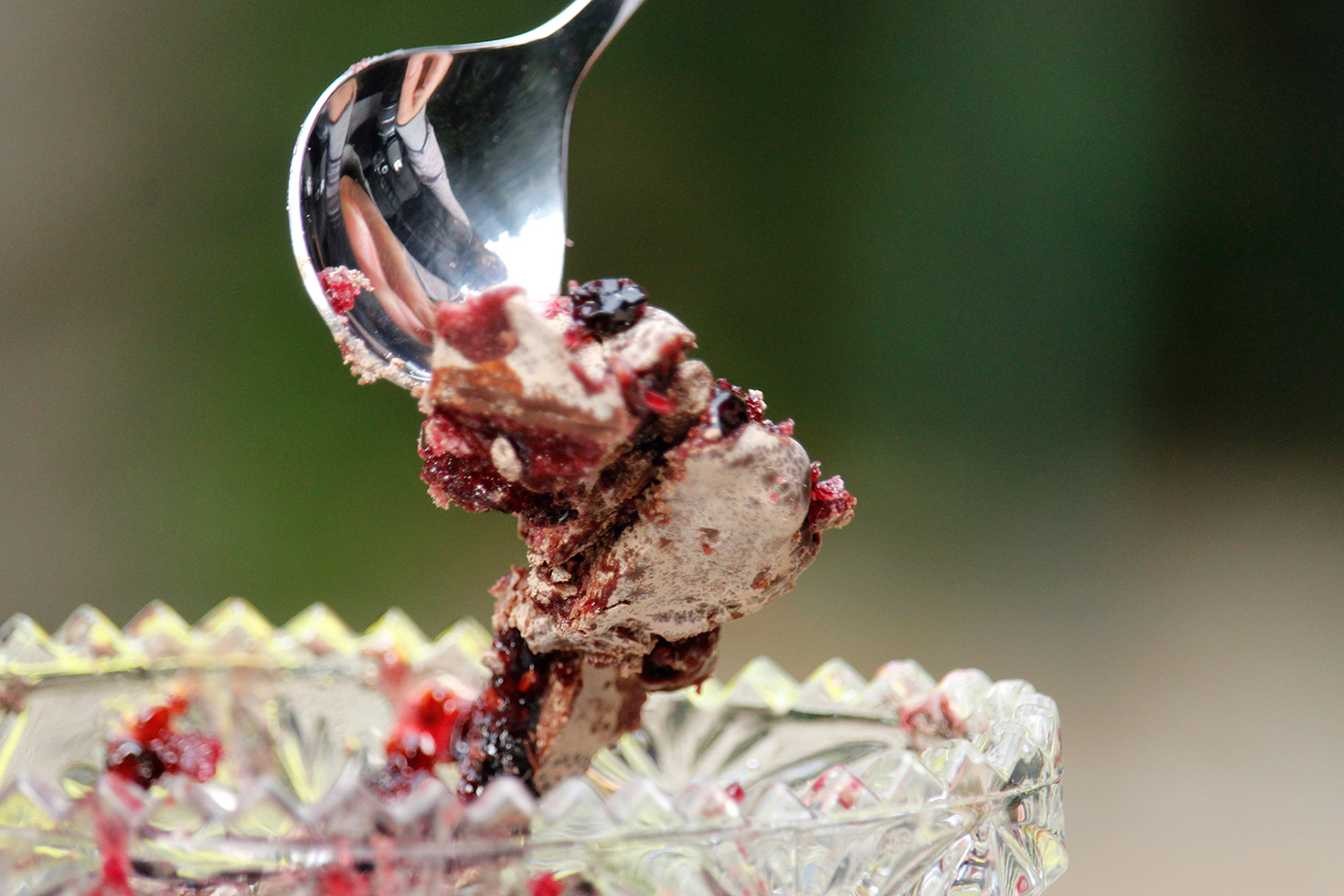 holunderfruchtschnitte mit schokolade