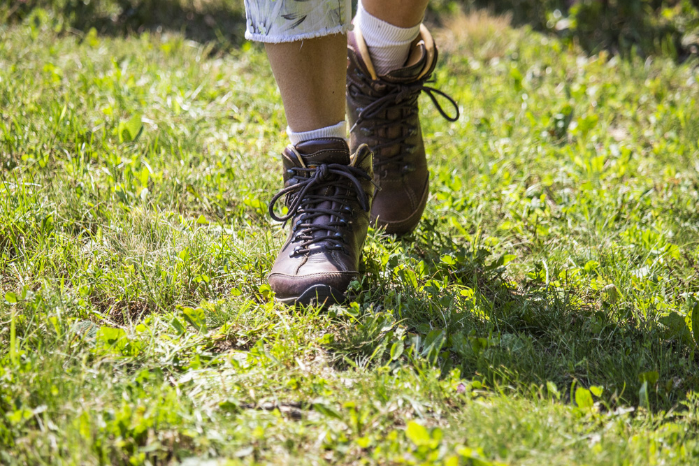 "kulinarische wildkräuterwanderung"