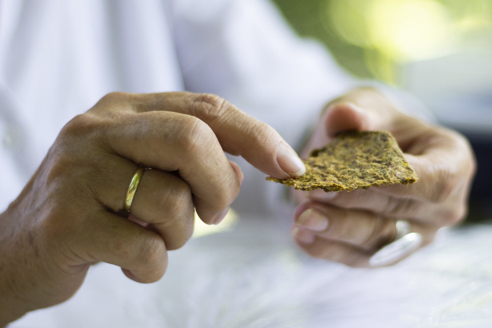 leinsamen-buchweizen-brennnessel-cracker – glutenfrei – brotersatz