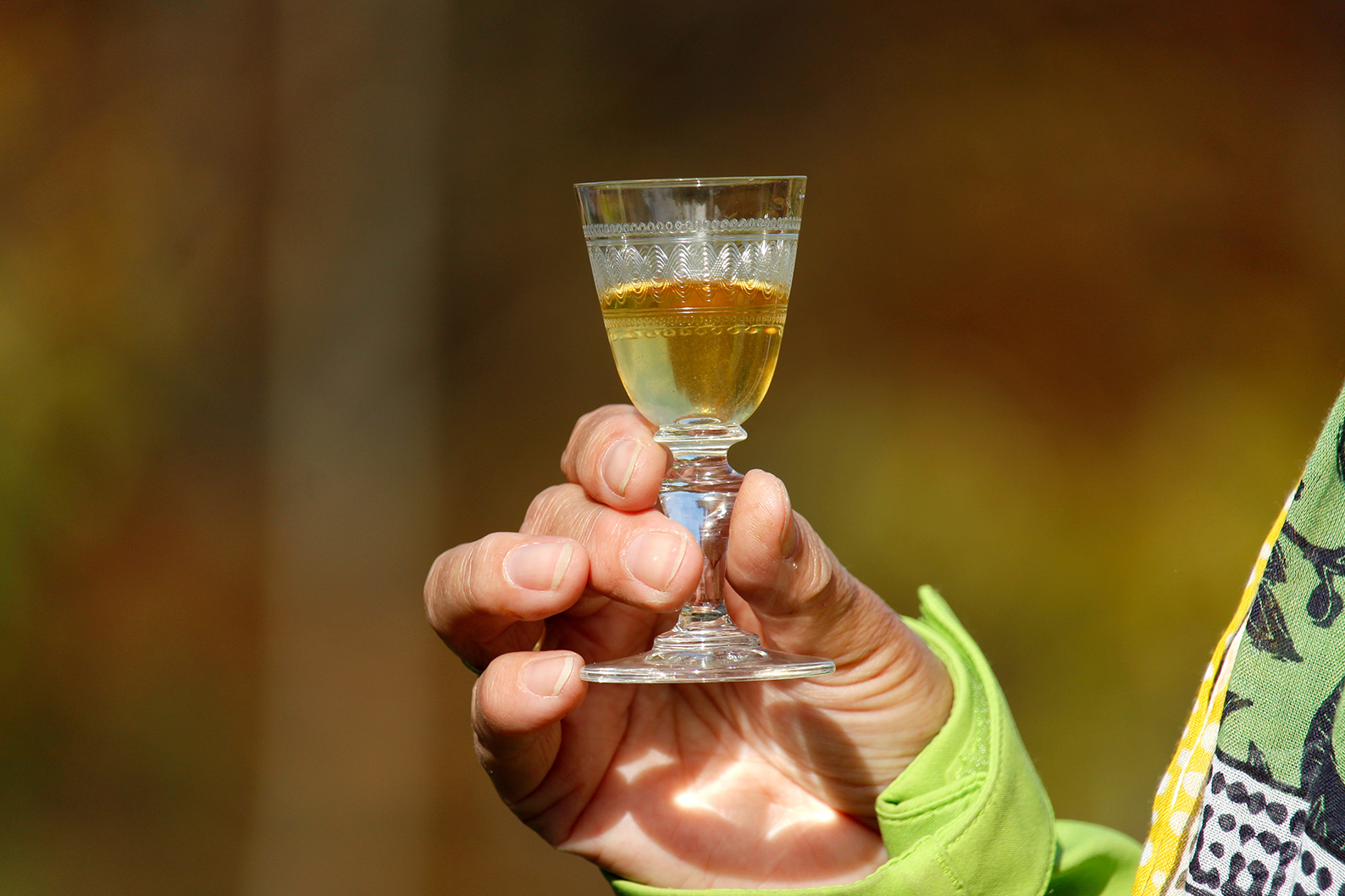 prost – ein hoch auf das leben