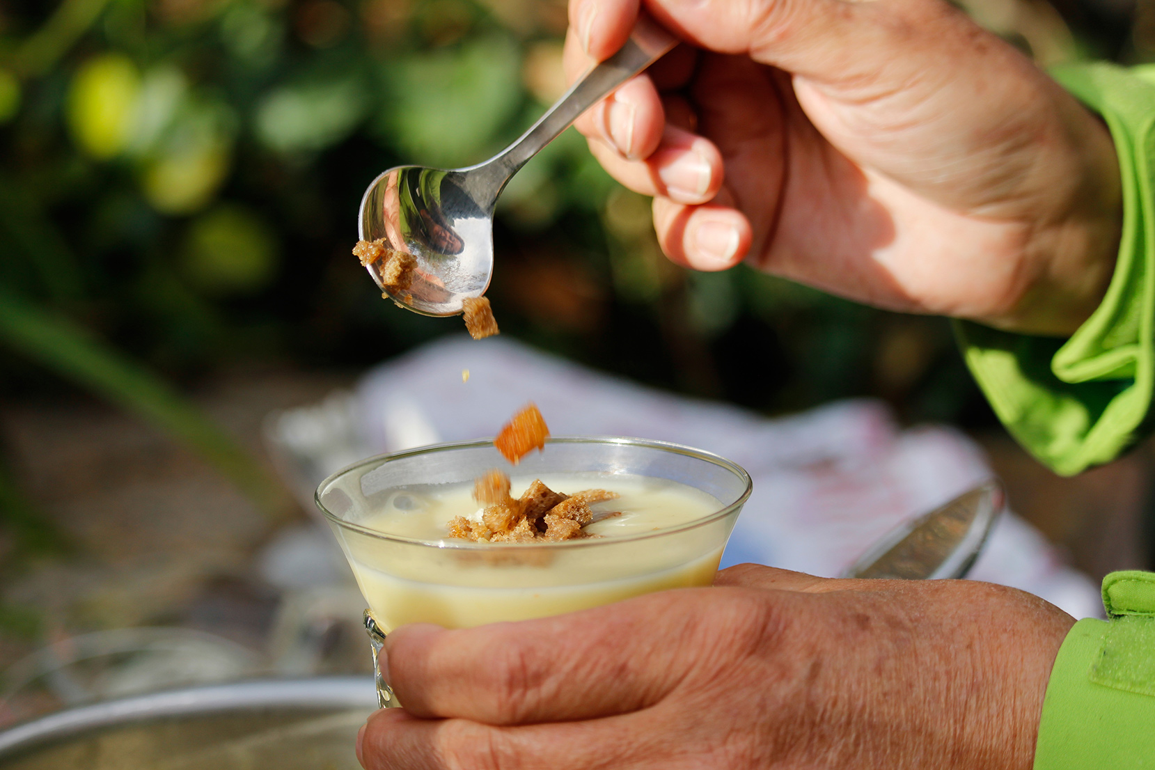 pastinakern-, haferwurzsuppe mit brotcroutouns