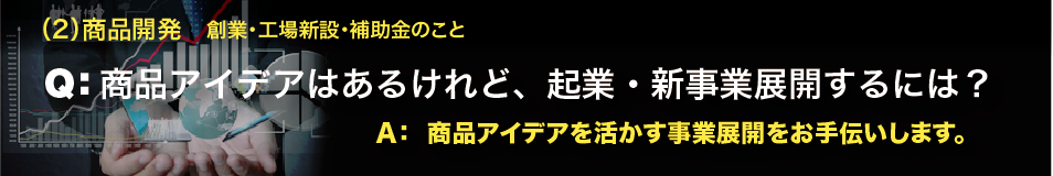 (2)創業、第二創業（事業継承）、補助金申請