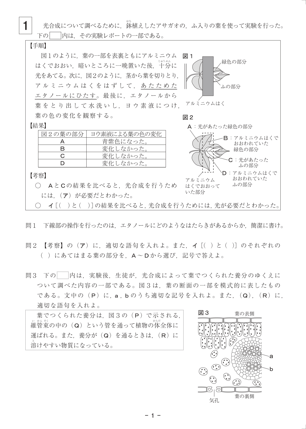 福岡県公立高校入試・理科 - 福岡のプロ家庭教師ヤス先生 福岡