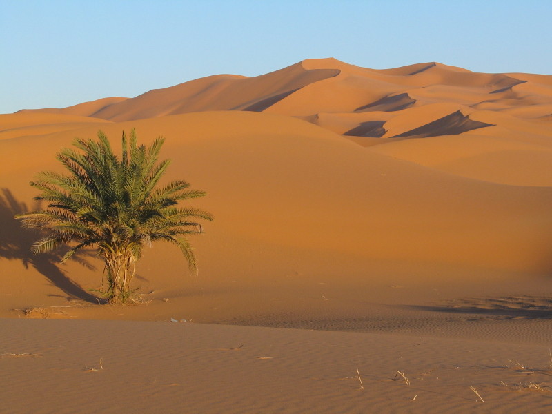 Dünen des Erg Chebbi