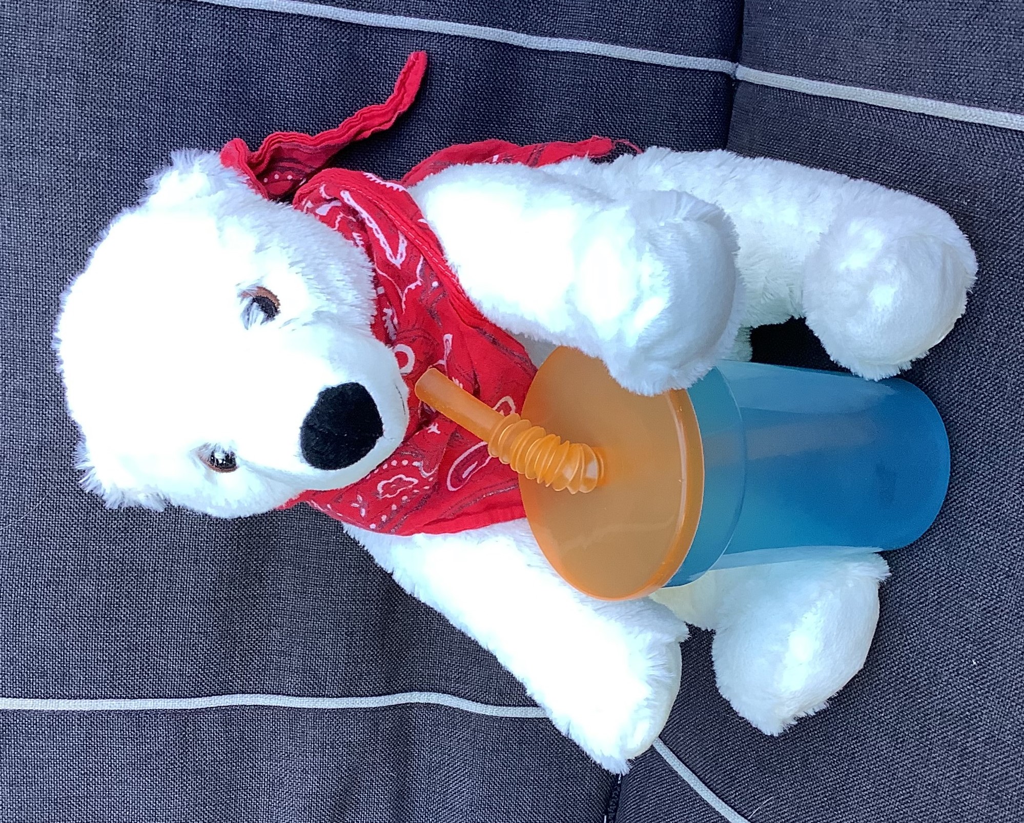 Eisbär Jan Eisfeld