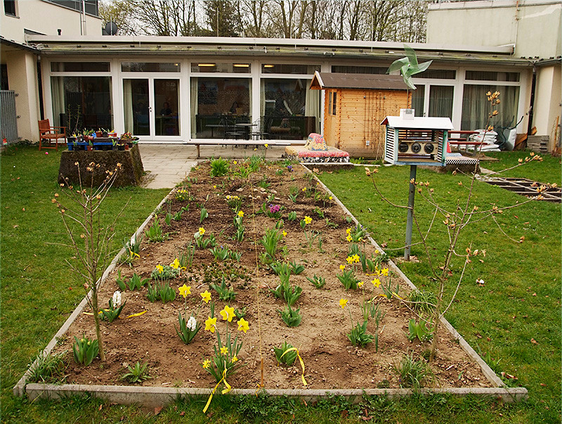 Frühling im Schulgarten