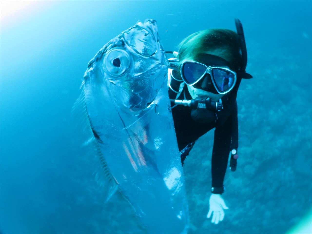 小木ダイビングセンター - 小木ダイビングセンター