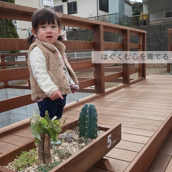 外構、造園、庭、ガーデン、エクステリア、フェンス、ウッドデッキ、施工、工事、リフォーム、千葉市、市原市、袖ケ浦市、木更津市、君津市、富津市、南房総市、鋸南町、館山市、鴨川市、勝浦市、四街道市、船橋市、八千代市、習志野市、佐倉市