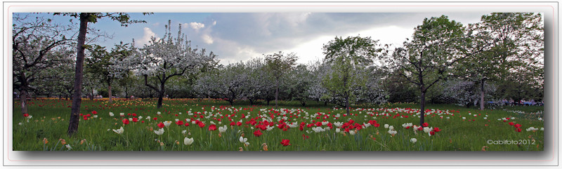 Britzer Garten_1