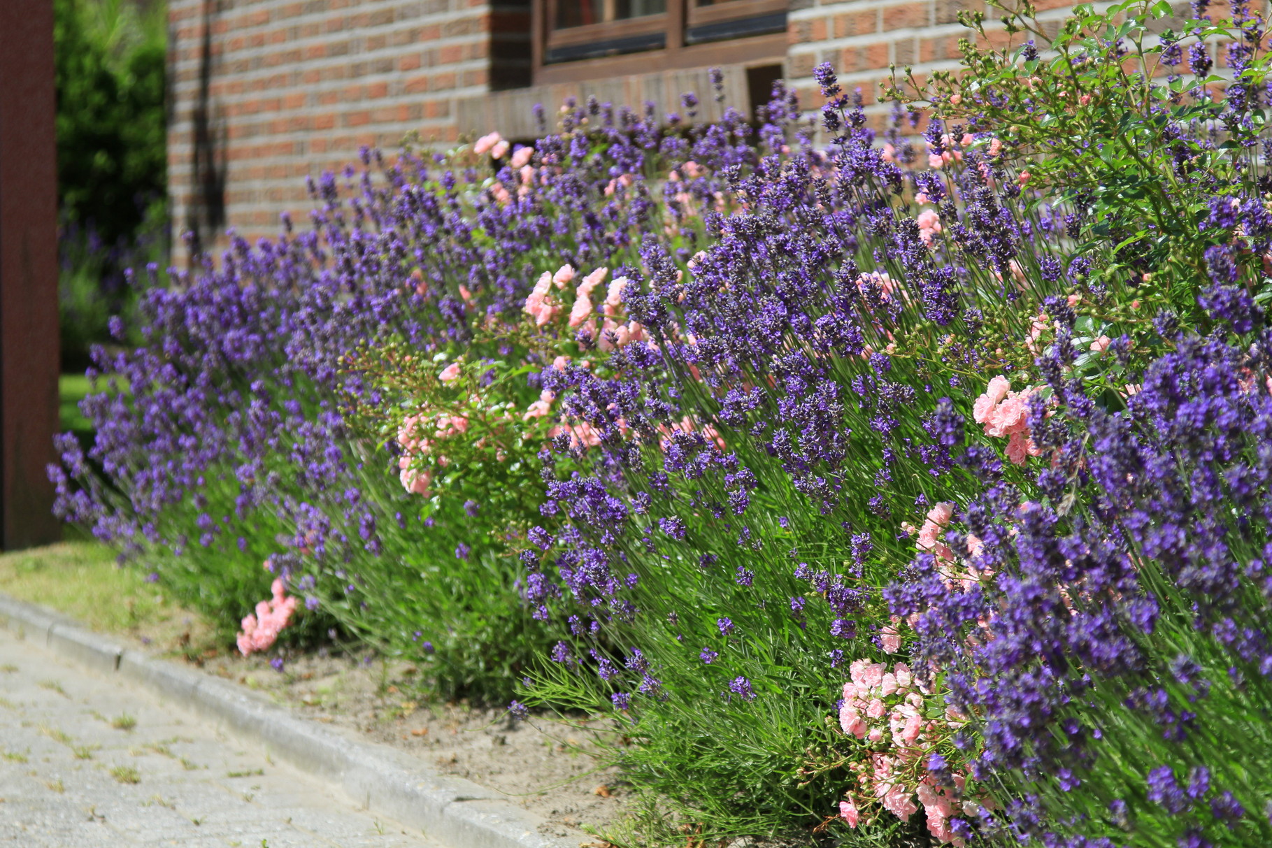 Sommerzeit am Haus