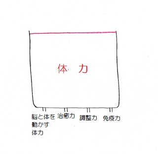 茅ヶ崎　整体　肩こり　腰痛　自律神経失調症