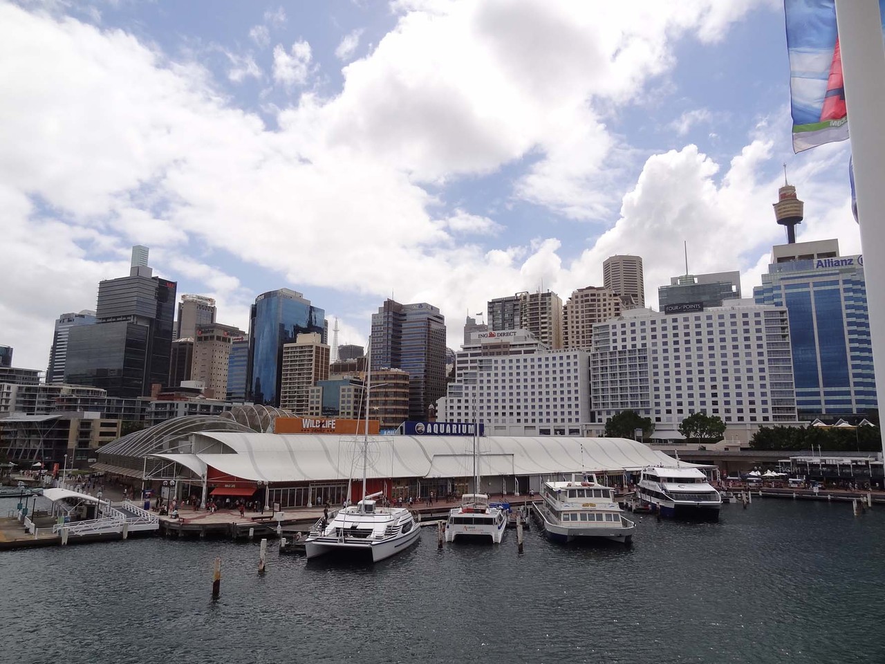 Sydney Aquarium und Zoo