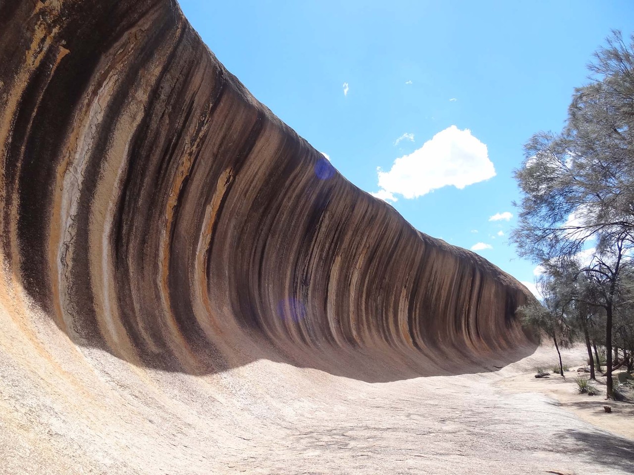 Der „Wave Rock“ in Hayden geformt durch nat. Erosion