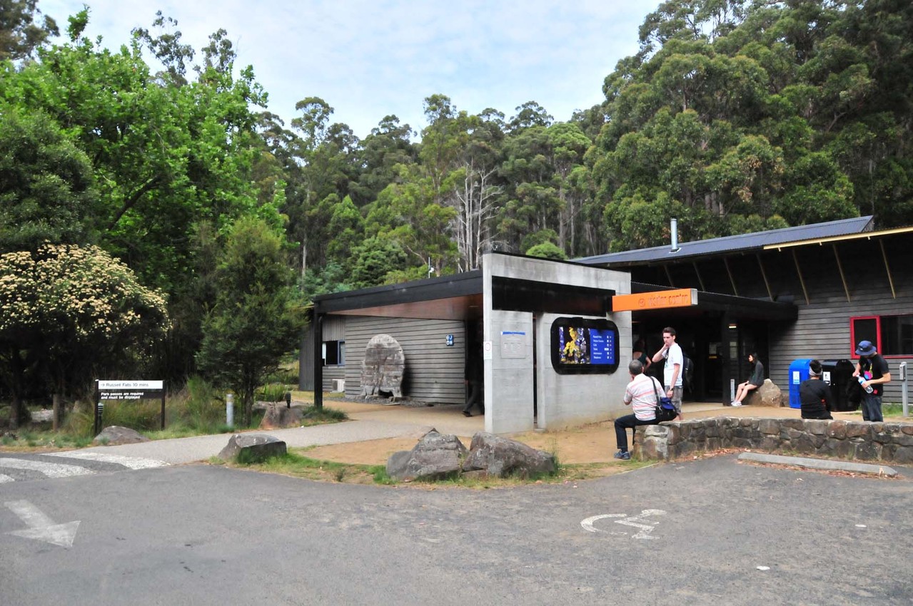 Start der Tasmanien Rundreise "Mount Field National Park"