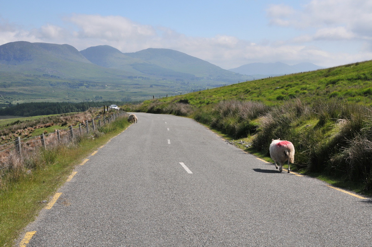 Auf dem "Ring of Kerry"