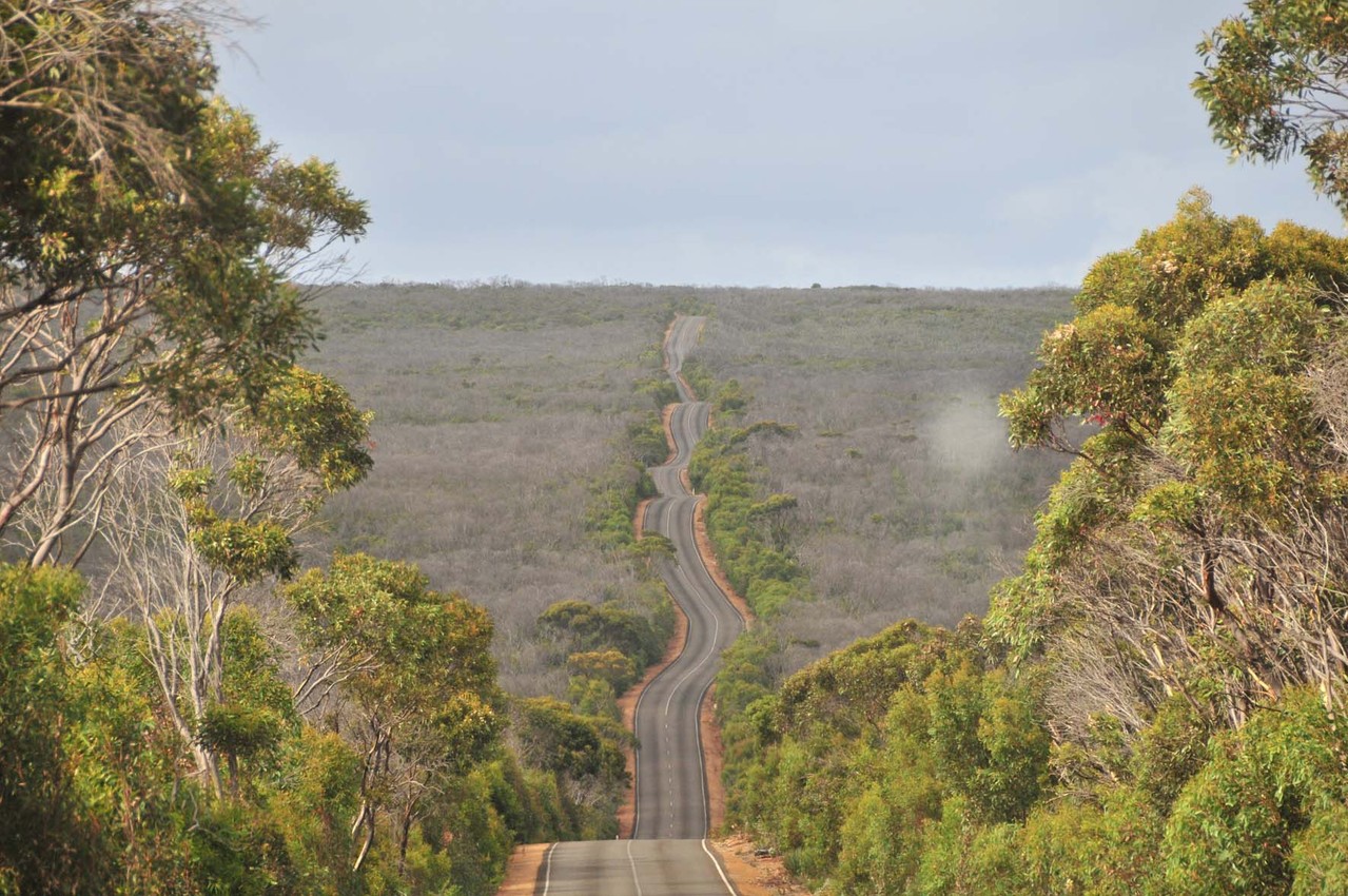 Durch den "Flinders Chase National Park"