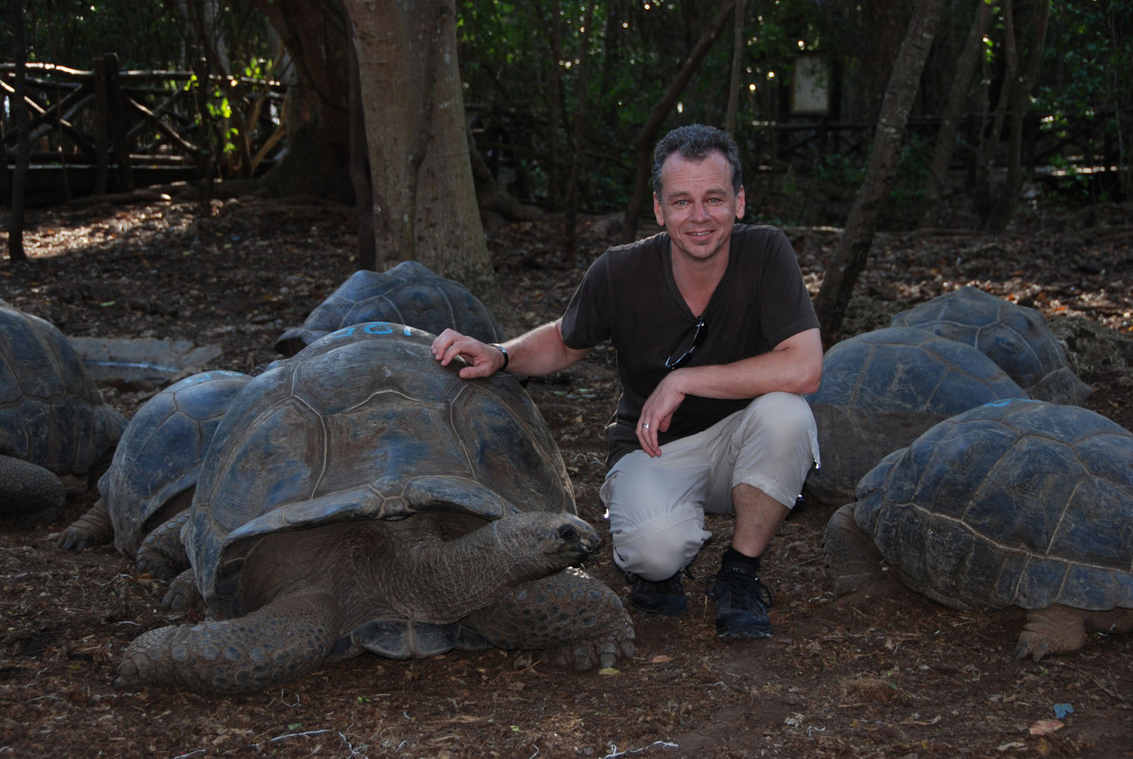 schon mal 100-jährige Exemplare anzutreffen (die Schildkröte :-)