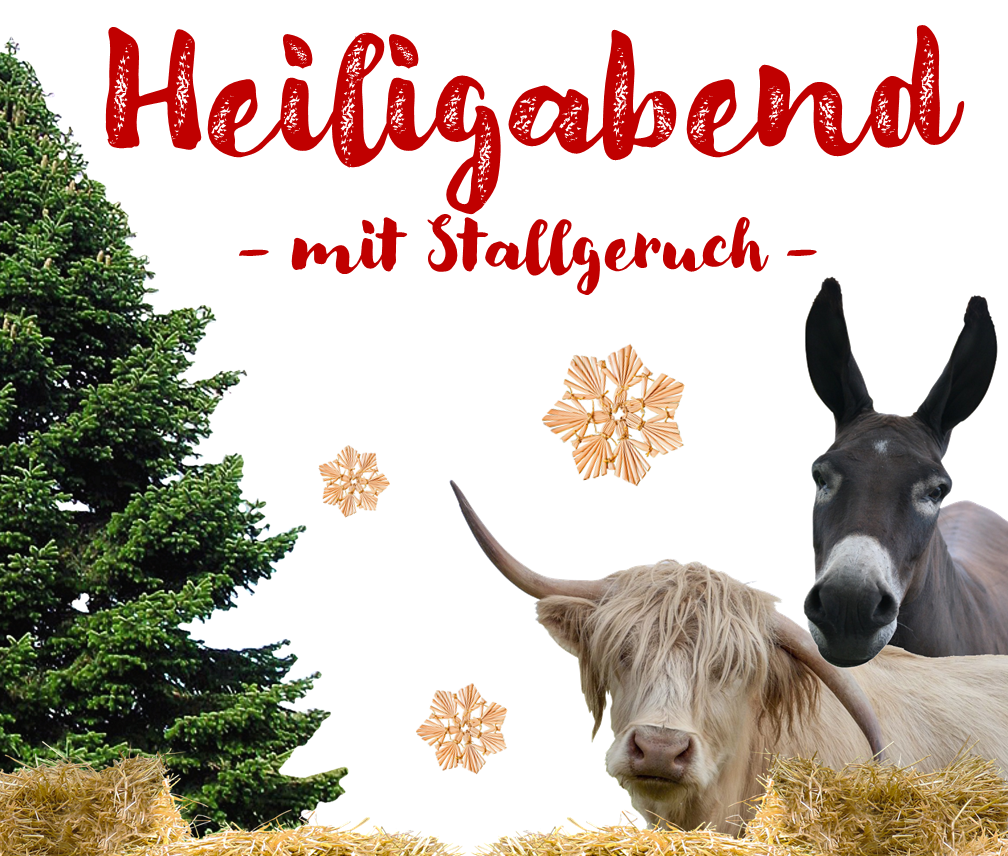 Heiligabend mit Stallgeruch