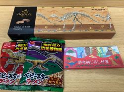 恐竜土産