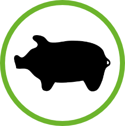 Ressourcen sparen durch Onlinekurse