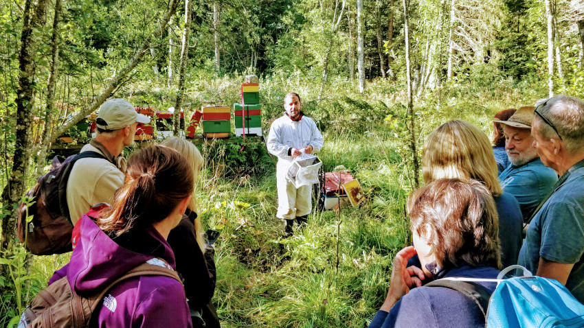 Bienenkunde beim Imker