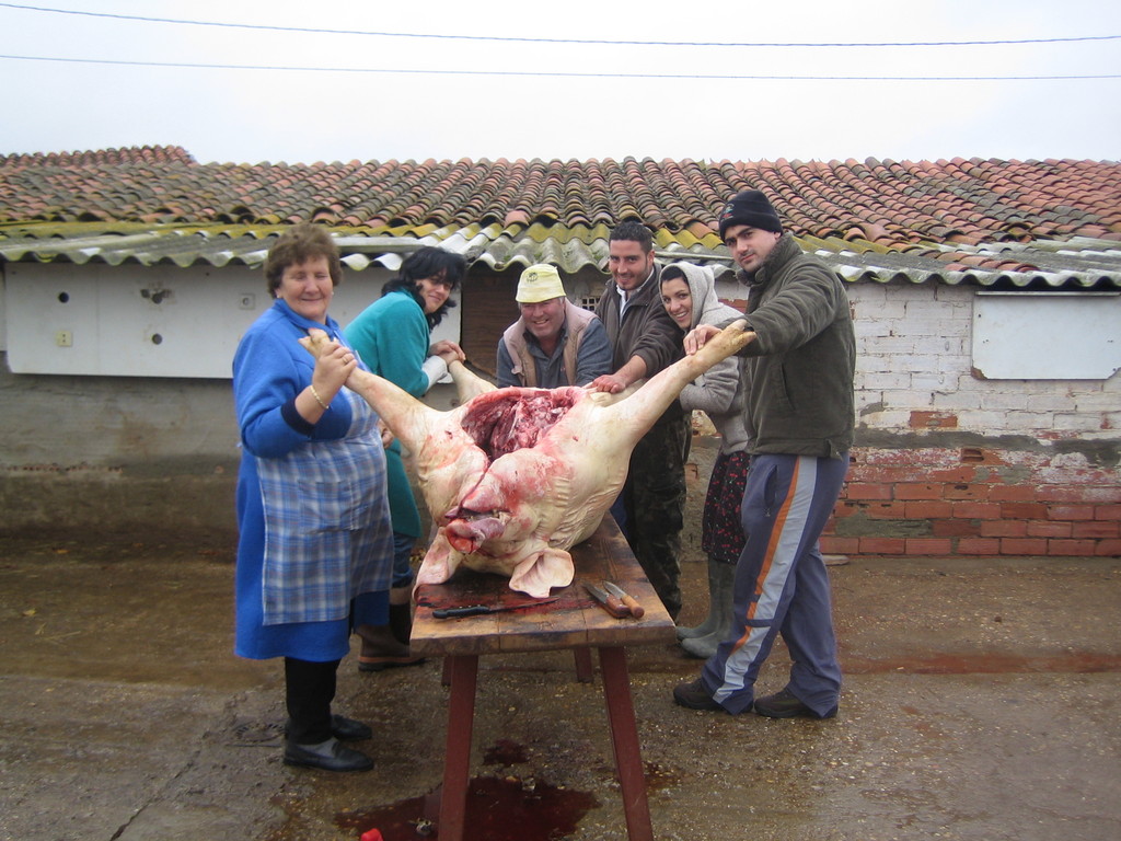 MATANZA EN SAN CEBRIÁN