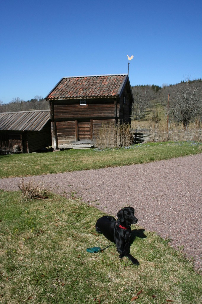 Warten am Museum - Smedstorps Dubblegard