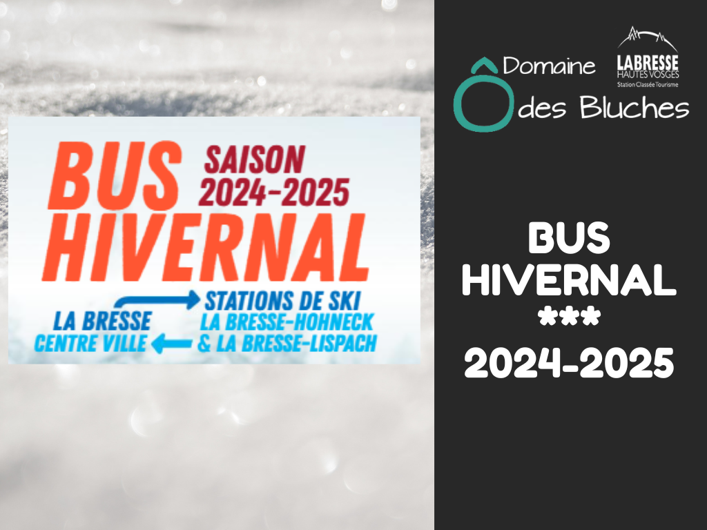 Der Winterbus bringt Sie zu den Skigebieten und ins Stadtzentrum von La Bresse,