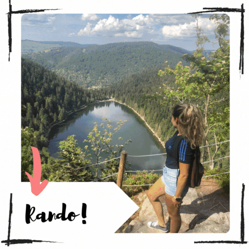 Domaine du Haut des Bluches — photo 6