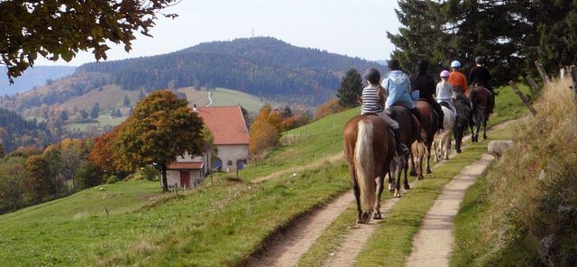 randonnées à cheval 