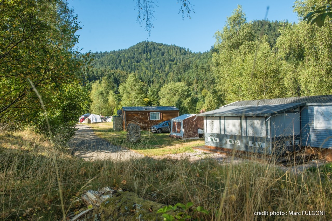 emplacement semi-ombragé pour tente en été avec électricité