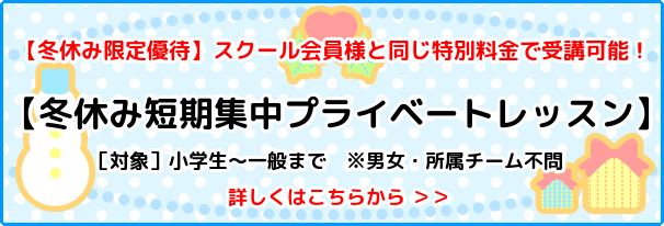 ソフトボール専門プロコーチ指導｜【冬休み限定】マンツーマンレッスンでピッチング・打撃・守備を劇的改善！（名古屋市）