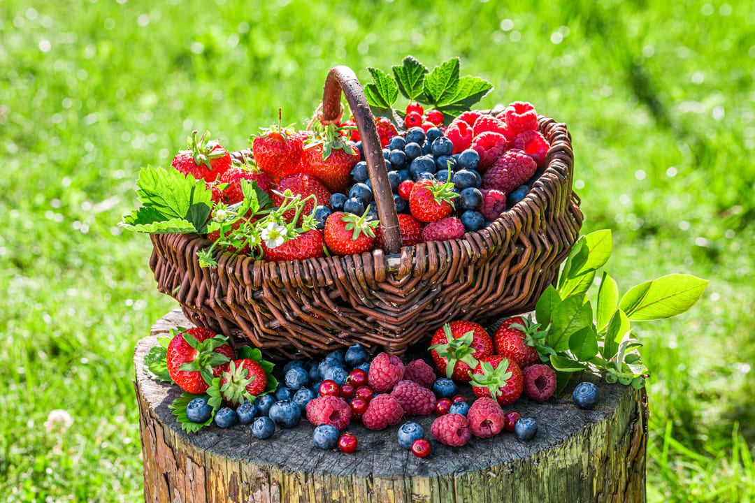 Die Rezeptsucherin Vorschau Im Tv Programm Die Rezeptsucherin Vorschau Im Tv Programm