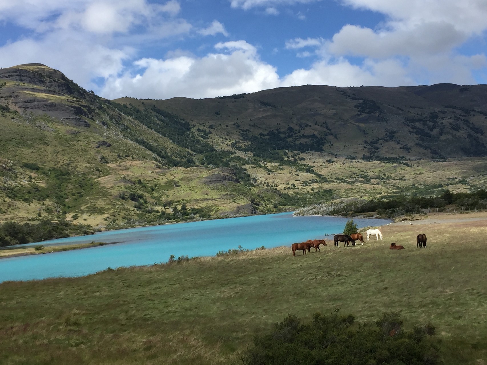 Fahrt durch den Torre del Paine