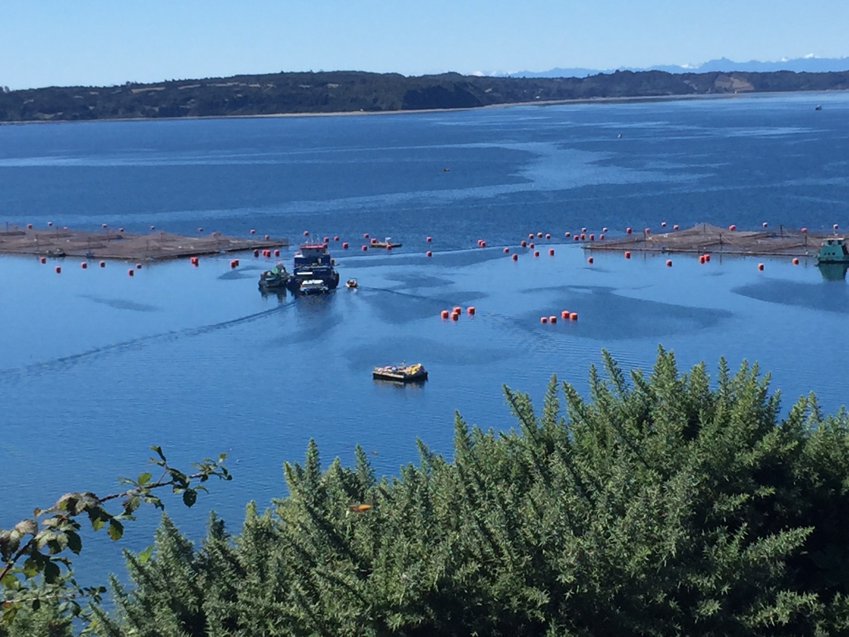 Fischfarmen auf der Insel Lemuy