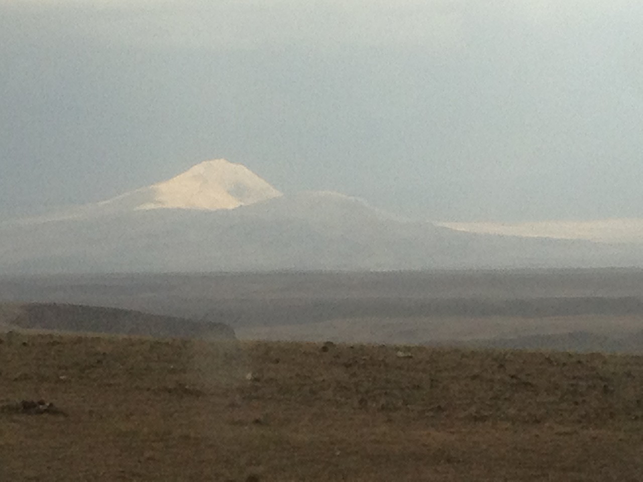 Endlich wieder der Ararat!