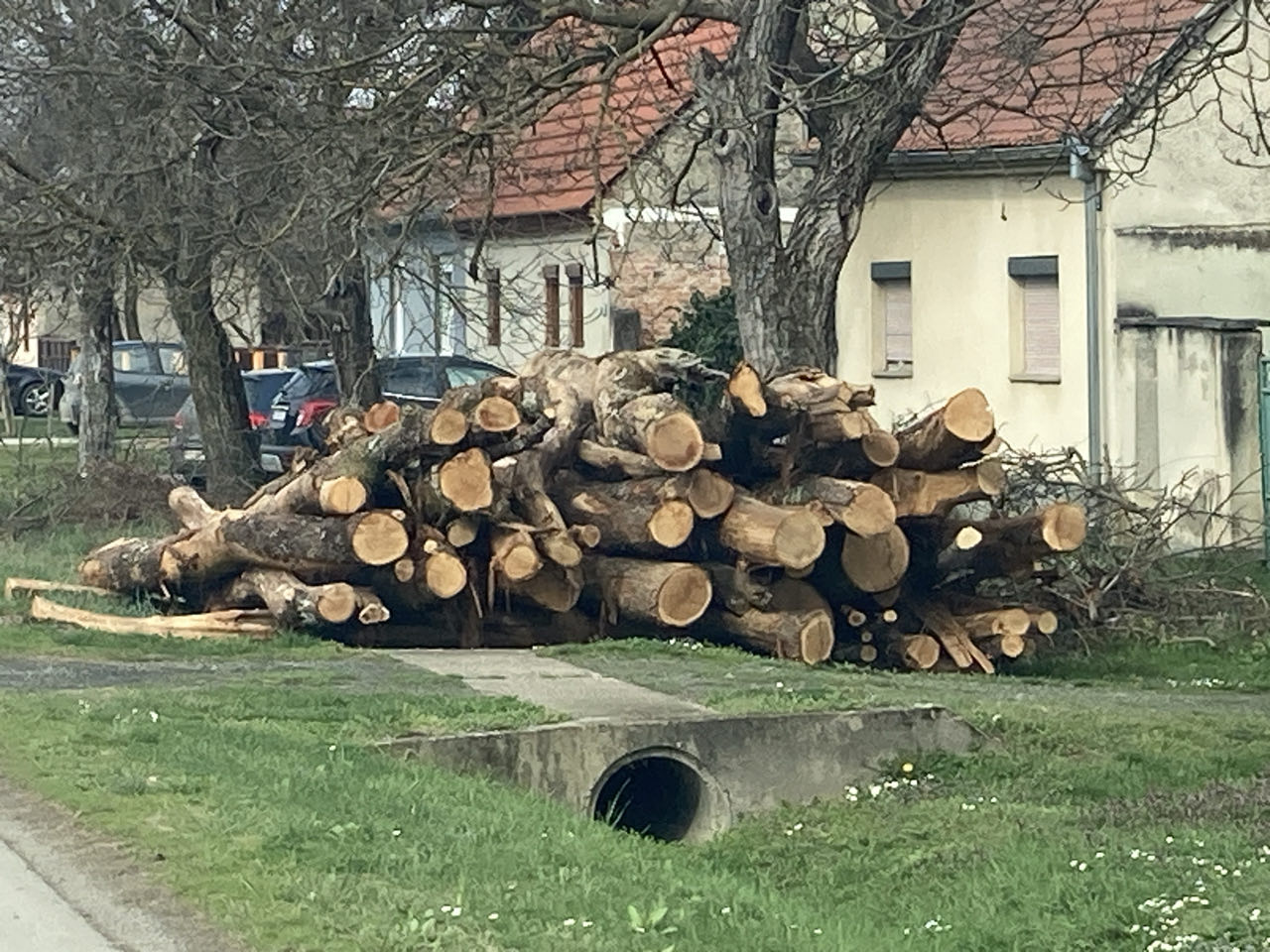 in Bulgarien hat es vor fast jedem Haus Holzstapel
