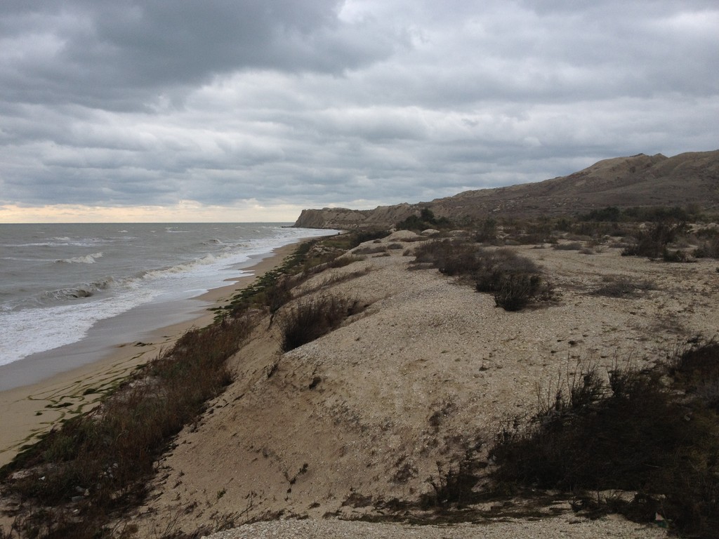 im Nationalpark am Strand