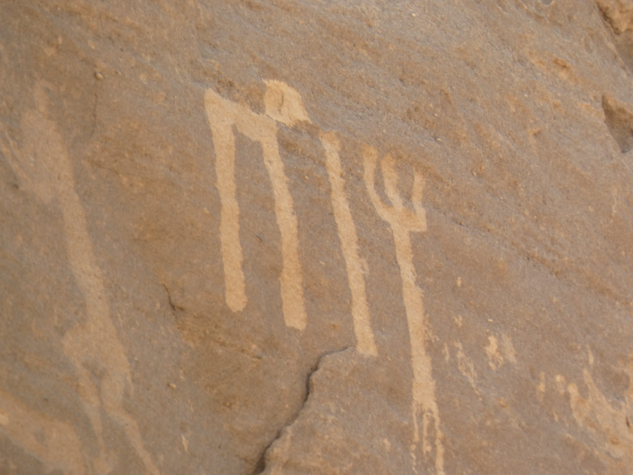 die Petroglyphen