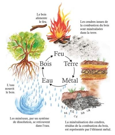 Les 5 éléments - Qi gong Conscience Energie pour la santé ...