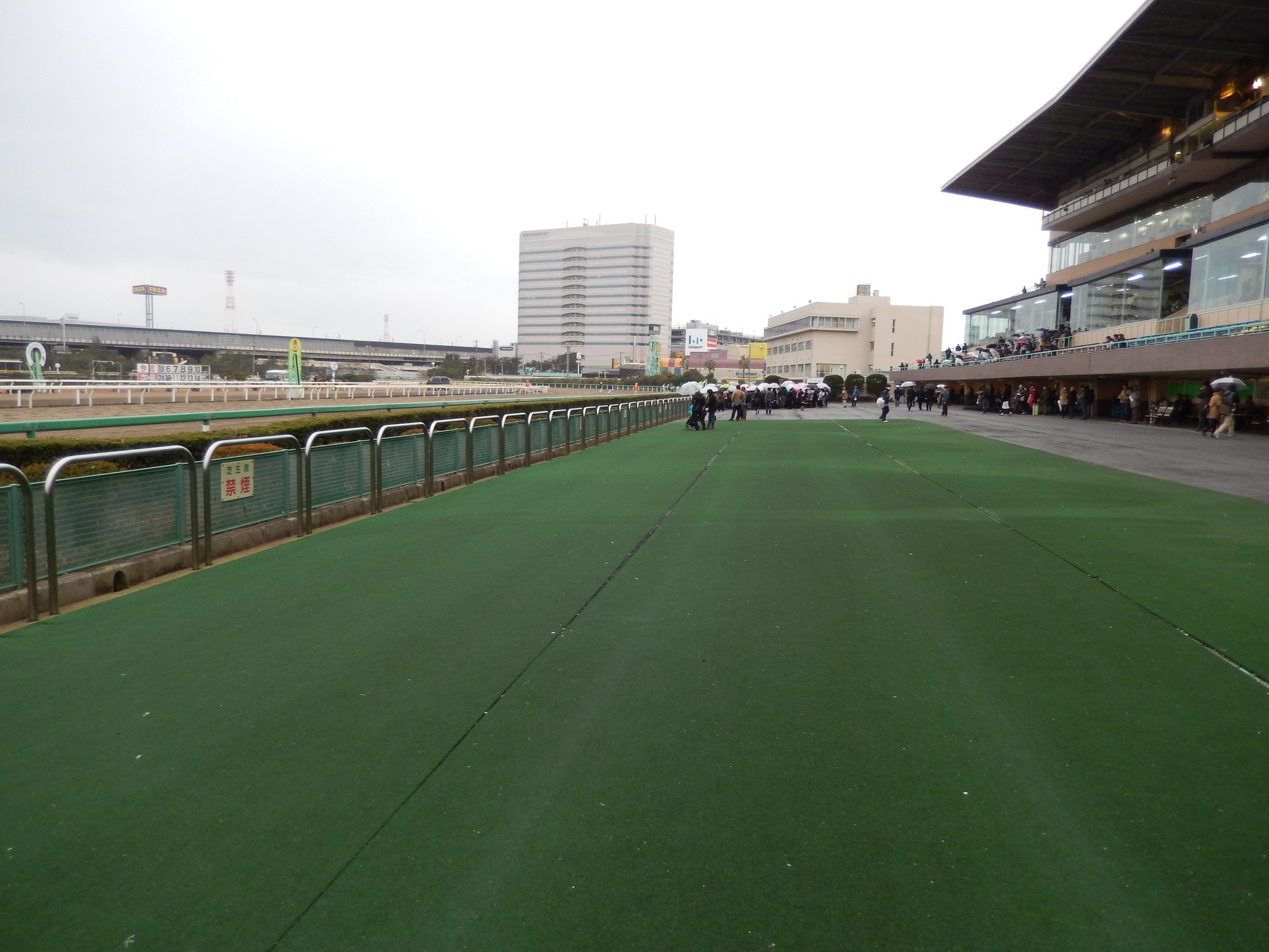 大井競馬場 内馬場行こうゼ その4 競馬場へ行く 全国競馬場漫遊記 笑いあり人情あり美味いもんあり 大井競馬場 内馬場行こうゼ その4 競馬場へ行く 全国競馬場漫遊記 笑いあり人情あり美味いもんあり